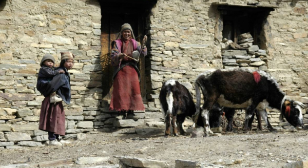 中国的陆上邻国有哪些