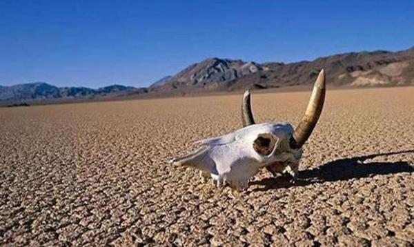 世界恐怖禁区有哪些