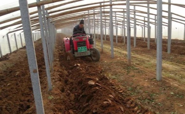 为什么种菜前要翻晒土