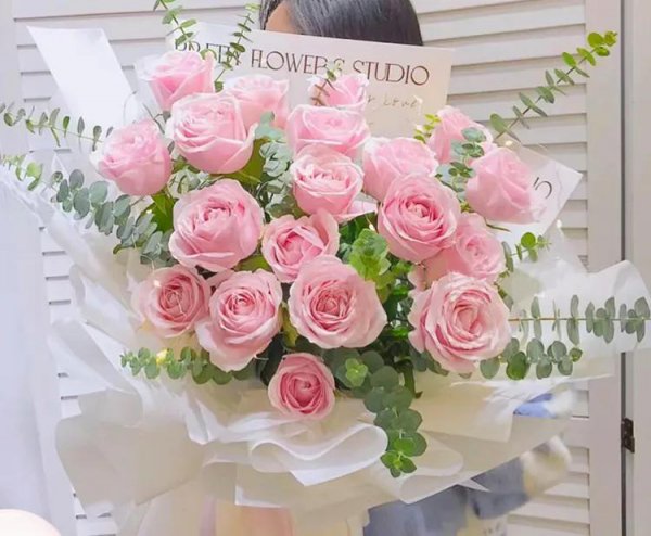 粉玫瑰适合送什么人