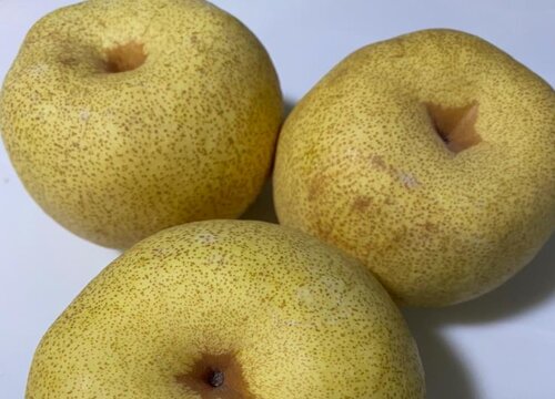 皇冠梨是雪梨吗