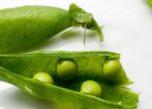 豌豆和荷兰豆一样吗