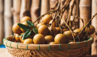 吃桂圆的好处与坏处 吃桂圆对人有啥好处与坏处