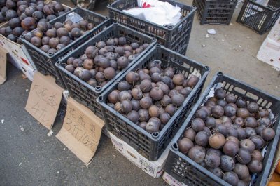 东北冻梨是什么东西 为什么在冰箱里无法做出东北冻梨