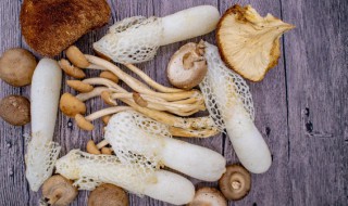 竹荪发黄还能吃吗 竹荪还可以吃吗