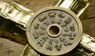 生肖鸡适合养什么植物 生肖鸡适合养哪些植物