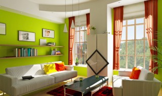 龙爪位置有什么讲究 龙爪喜欢怎么的生长环境