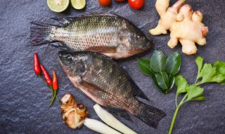 活鱼保鲜办法 活鱼怎么保鲜