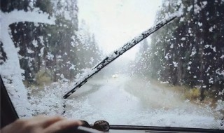 雪水如何保存不坏 雪水怎样保存不坏