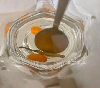 虫草开水泡好还是温水泡好 虫草应该怎么泡放多少水