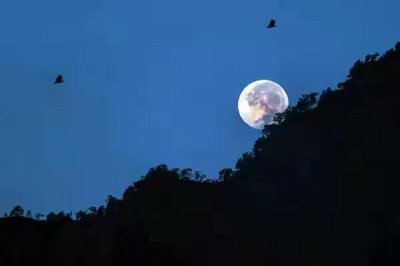 夜半钟声到客船出自哪首诗 古诗《枫桥夜泊》原解释分析