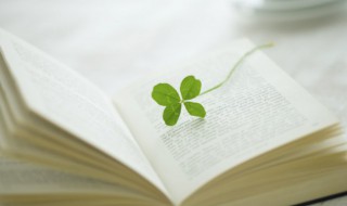 二月早安心语 2月正能量励志早安心语精选