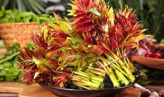 香椿适合种植什么地方 香椿适合种植的地方