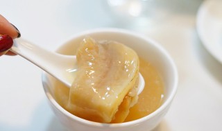 鱼胶和什么煲汤比较好 鱼胶和什么一起炖最有营养