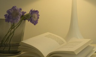 11月再见12月你好文案 11月再见12月你好的励志说说介绍