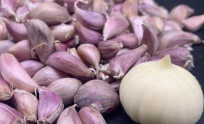 独头蒜是怎么种出来的图片 独头蒜的种植与管理技术