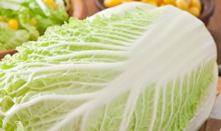 怎样腌制家常白菜好吃 如何腌制家常白菜好吃