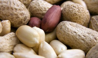 南方什么地方适合种植花生 花生的种植方法