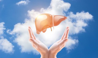 冬天怎么养护肝脏呢 冬天如何养护肝脏呢