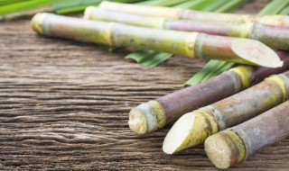 甘蔗在家怎么种植 甘蔗的种植方法