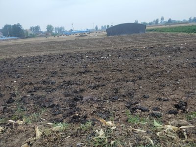 为什么种菜前要翻晒土 种菜之前为什么要进行翻土松土