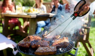 羊肉串用什么部位的肉 羊肉串用哪个部位的肉好