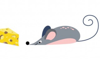 梦见老鼠进房间是什么征兆 梦见老鼠进房间代表什么意思