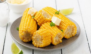 冰冻玉米能蒸多久才熟 冻玉米蒸多长时间能好