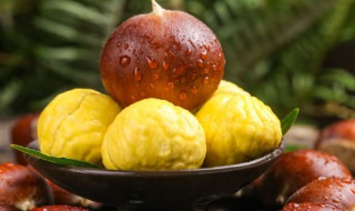 板栗什么季节种植合适 板栗哪个季节种植合适