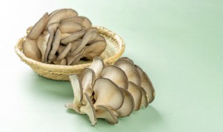 家庭蘑菇种植方法 家庭蘑菇如何种植