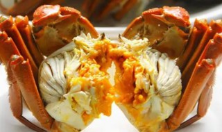 大闸蟹煮多久才能吃 大闸蟹煮多久才可以吃