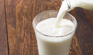 吃龙虾可以喝纯牛奶吗 龙虾和纯牛奶可以一起食用吗