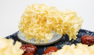 银耳乌鸡汤的做法大全 银耳乌鸡汤的烹饪方法