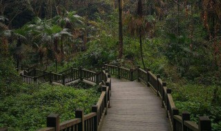 成都周边小众景点有哪些 成都周边小众景点有什么