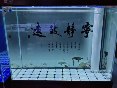 绿水怎么培养才能又清又亮 培养青苔绿水的方法有哪些