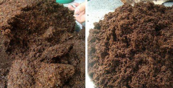 自己在家怎么配置植物营养土