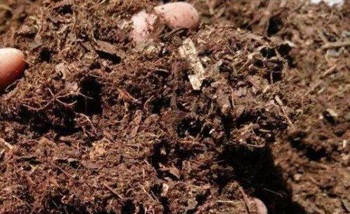 自己在家怎么配置植物营养土