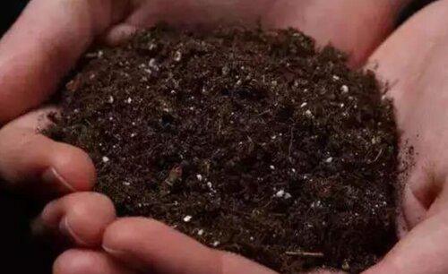 自己在家怎么配置植物营养土