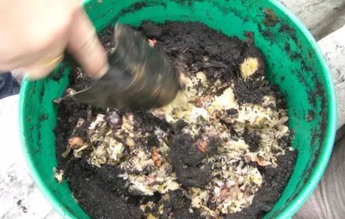 自己在家怎么配置植物营养土