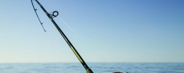 怎么区分鱼竿的好坏