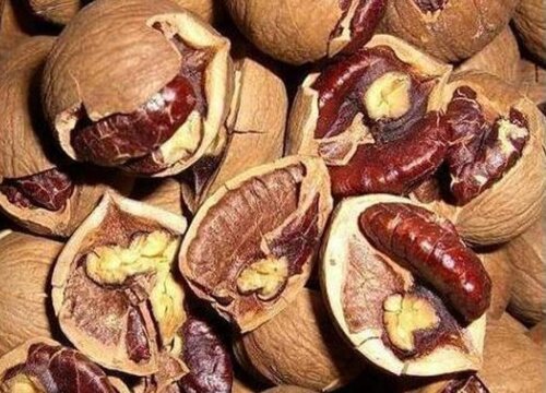 鲜核桃可以冷冻保存吗