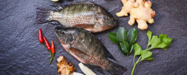 常吃鲫鱼的好处和坏处