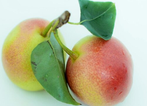 春天吃什么水果对身体好