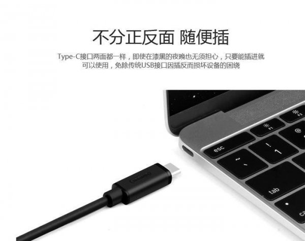 typec接口是什么样子