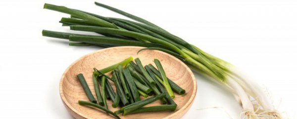 阳台小香葱的种植方法