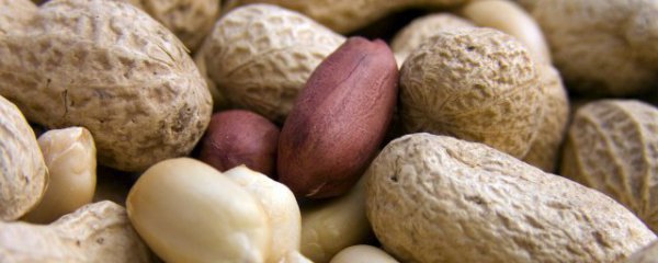 长吃花生的好处和坏处