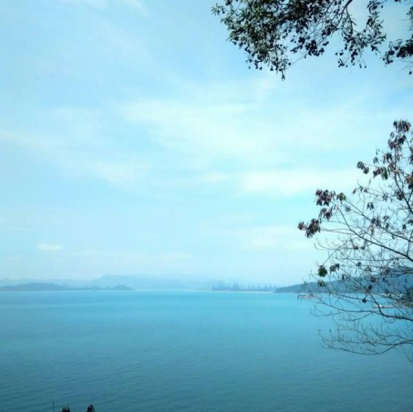 深圳一日游必去哪里好玩