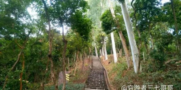 深圳一日游必去哪里好玩