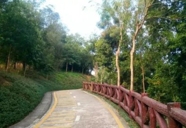 深圳一日游必去哪里好玩