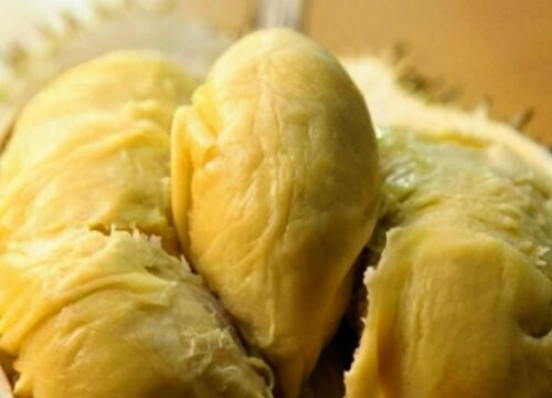 榴莲可以放冷冻保存吗